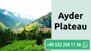 Ayder Plateau